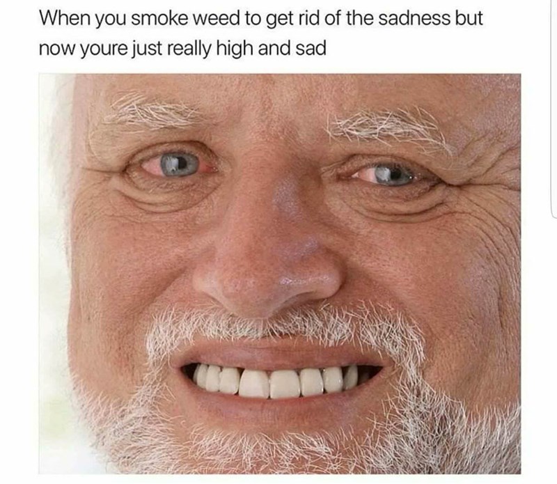 funny meme - When you smoke weed to get rid of the sadness but now youre just really high and sad