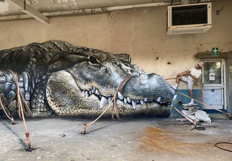 funny pics - giant crocodile graffiti mural