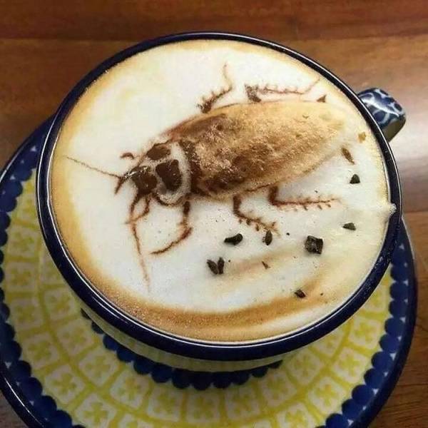 funny pics - coffee art funny cockroach