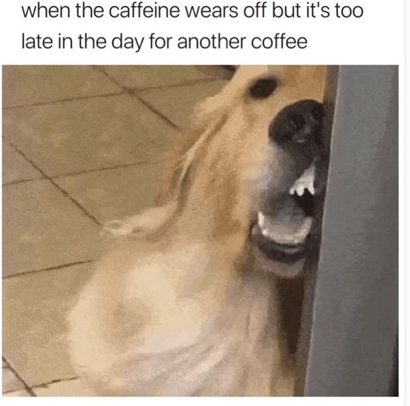 funny memes 2020 tired - when the caffeine wears off but it's too late in the day for another coffee