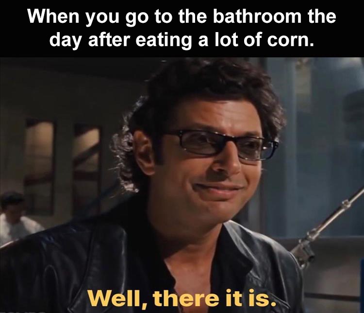 need you in my life - When you go to the bathroom the day after eating a lot of corn. Well, there it is.
