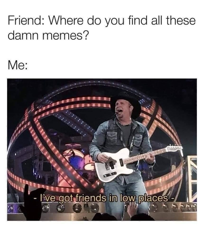 ve got friends in low places meme - Friend Where do you find all these damn memes? Me I've got friends in low places