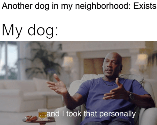 took that personally meme jordan - Another dog in my neighborhood Exists My dog ...and I took that personally