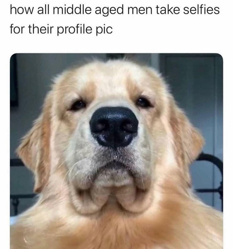 memes 2020 dog - how all middle aged men take selfies for their profile pic
