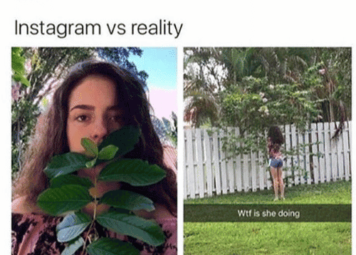 28 Funny Memes to Take a Break With