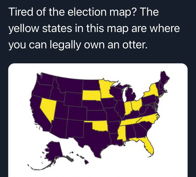 biden vs trump electoral map - Tired of the election map? The yellow states in this map are where you can legally own an otter.
