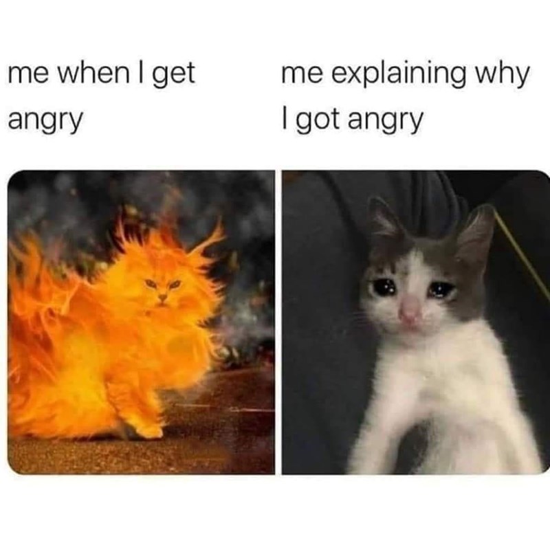 me when i get angry me explaining - me when I get me explaining why I got angry angry