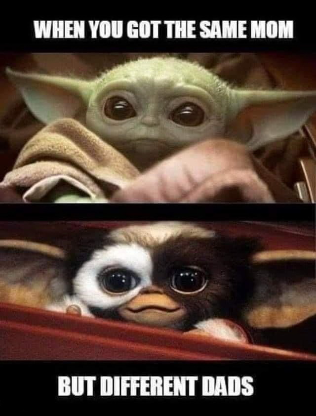 baby yoda gizmo meme - When You Got The Same Mom But Different Dads