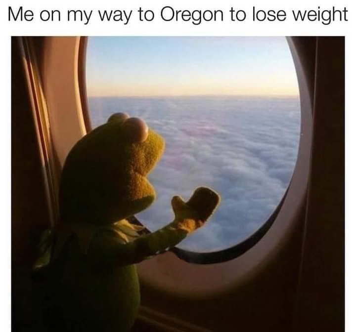 kermit airplane - Me on my way to Oregon to lose weight