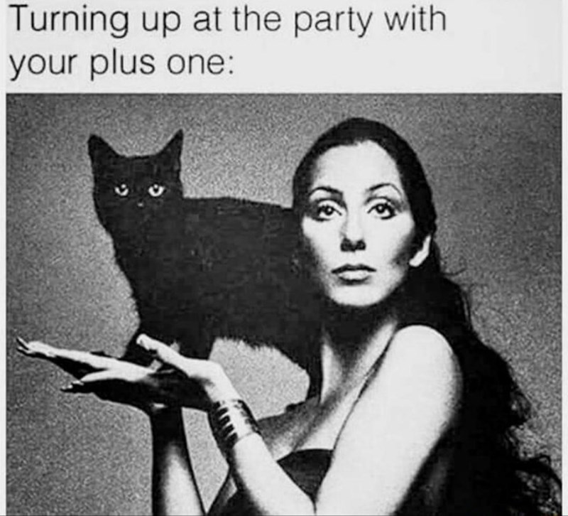 cher dark lady - Turning up at the party with your plus one