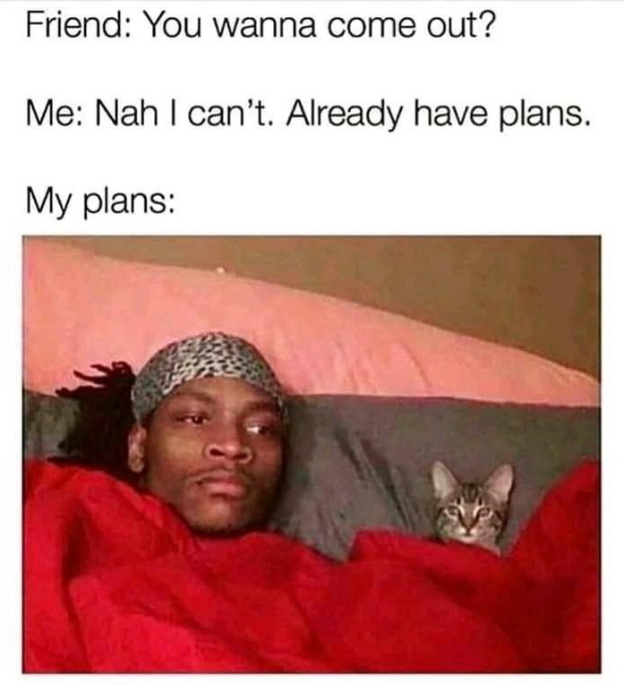 memes that cure my boredom - Friend You wanna come out? Me Nah I can't. Already have plans. My plans