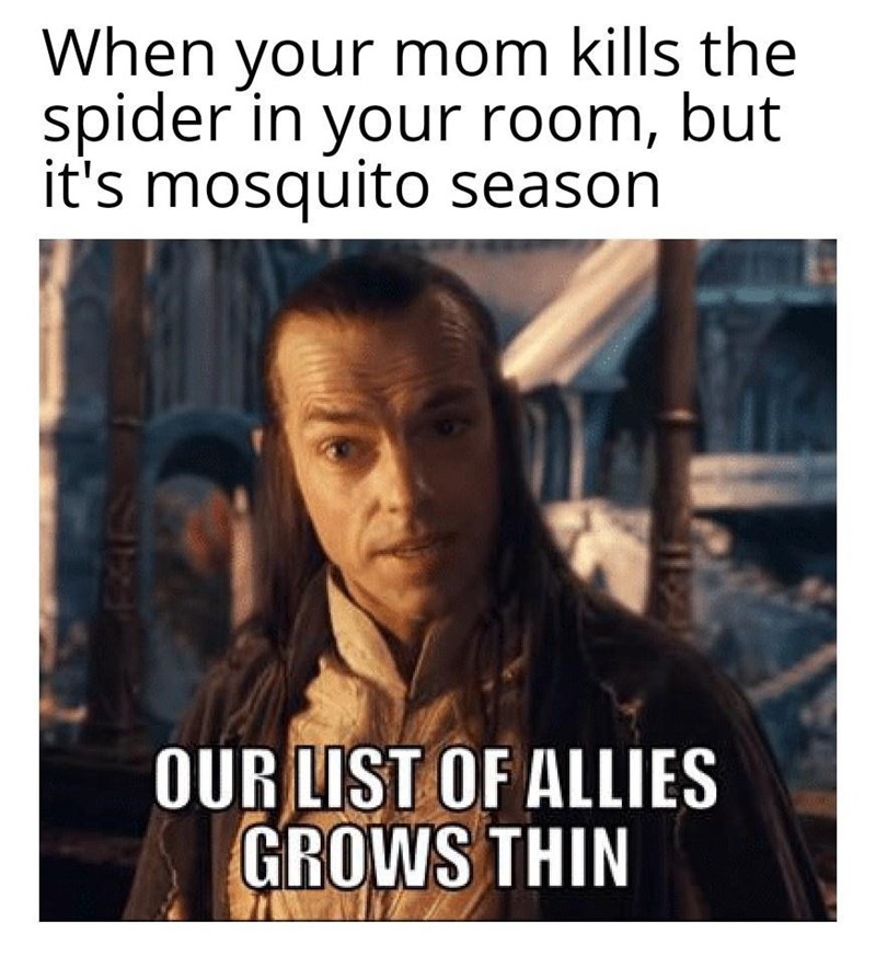 lotr memes - When your mom kills the spider in your room, but it's mosquito season Our List Of Allies Grows Thin