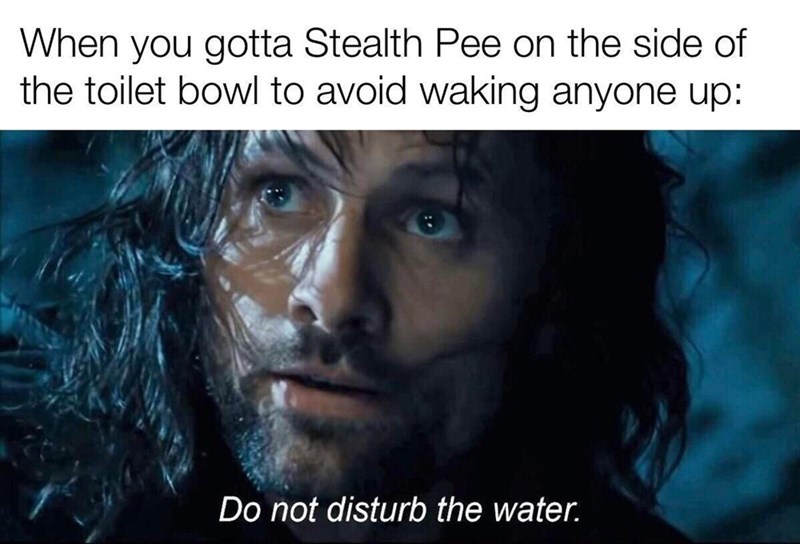 do not disturb the water lotr - When you gotta Stealth Pee on the side of the toilet bowl to avoid waking anyone up Do not disturb the water.