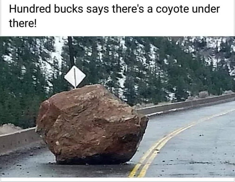 hundred bucks says there's a coyote under there meme - Hundred bucks says there's a coyote under there!