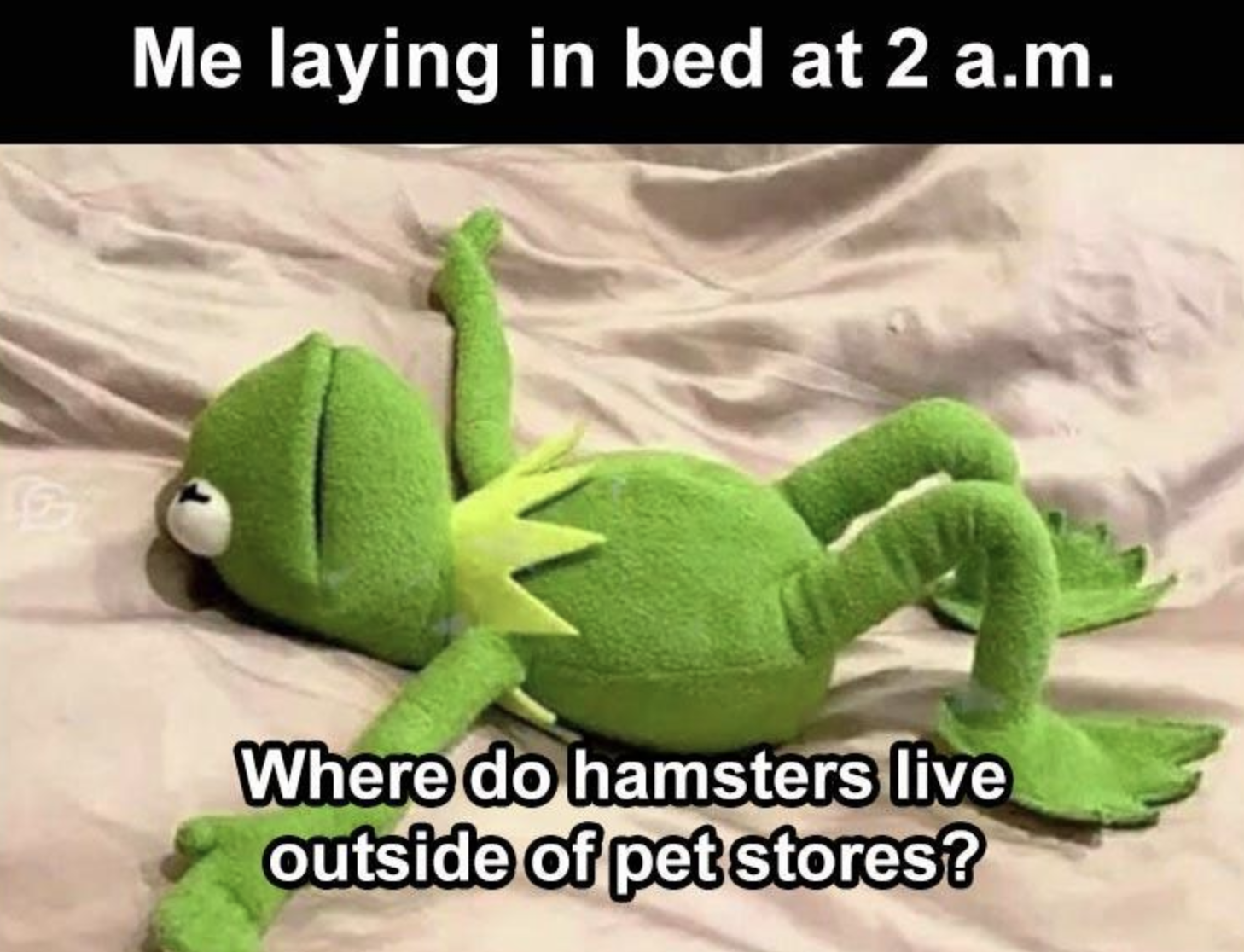 35 Awesome Memes to Take a Break With