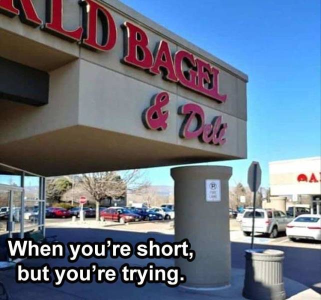 36 Funny Memes to Take a Break With