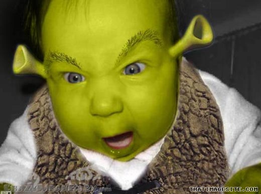 AFTER... Shrek Jr.