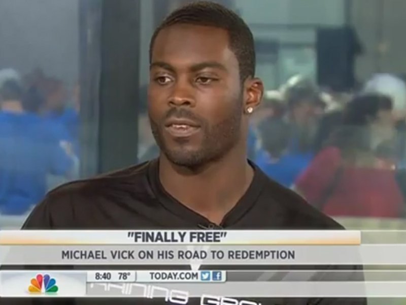 Michael Vick's animal abuse lost him about 130 million. Michael Vick was once the highest-paid player in the NFL, signing a 10-year contract extension, worth 130 million, with the Atlanta Falcons. Everything changed in 2007, when he went to prison for participating in an illegal dog fighting ring. Vick lost his NFL salary and endorsements while incarcerated for two years.  He filed for Chapter 11 bankruptcy in 2008. All told, Vick lost about 130 million.