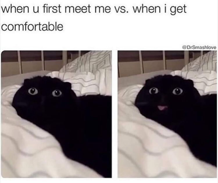 Caturday meme about feeling comfortable acting like yourself after knowing someone for a while