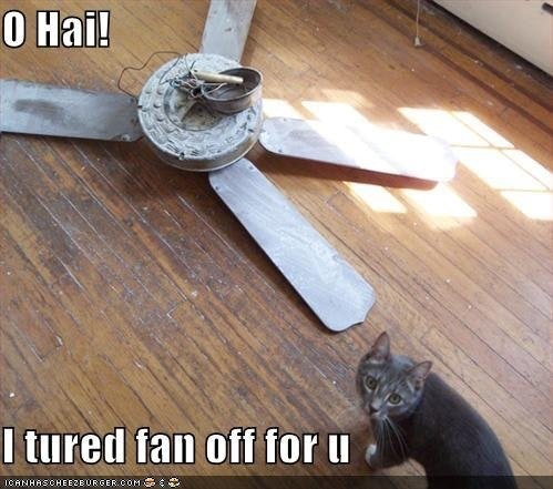 Caturday meme about a cat turning the ceiling fan on