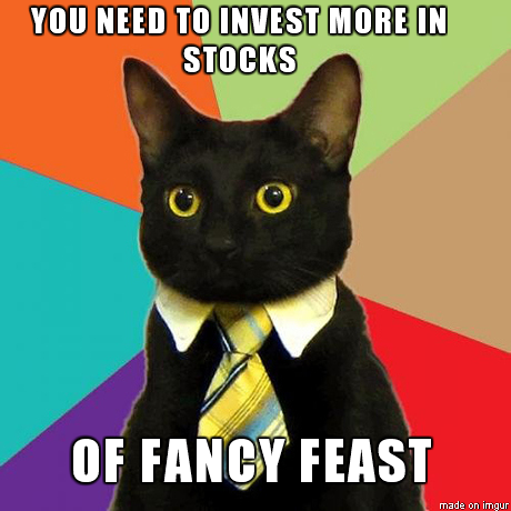 Caturday meme with business cat giving investment tips