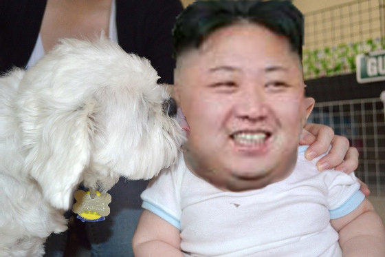 Mini Kim likes puppy.