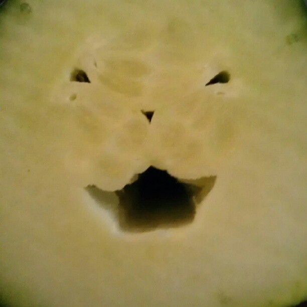 A cucumber that when sliced revealed the face of a Holy Cat. Perhaps just a common cat placed there by the lol cat Gods. One may never know, but it is truly funny. Feel free to share.
