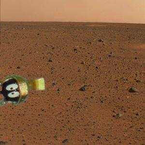 The first image has now been received from Curiosity on Mars and it appears there is no intelligent life there.
