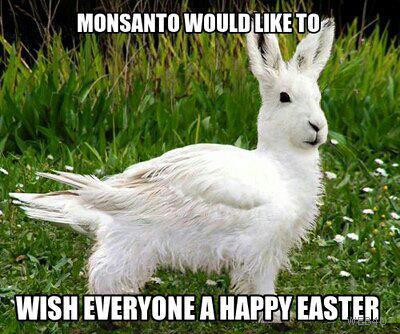 Monsanto, makers of fine genetically altered food products around the world.