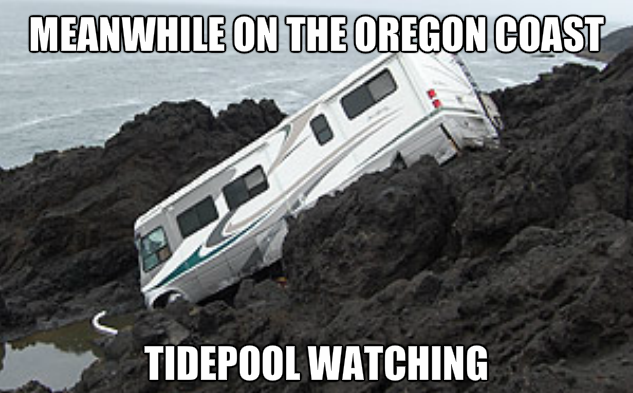 Tidepool watching fail.