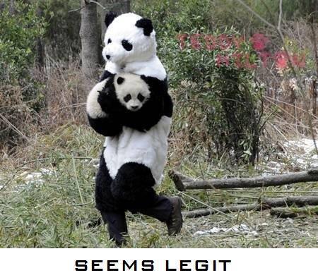 The Bipedal Panda is a modestly graceful creature, and is partial to black Air Force Ones.
