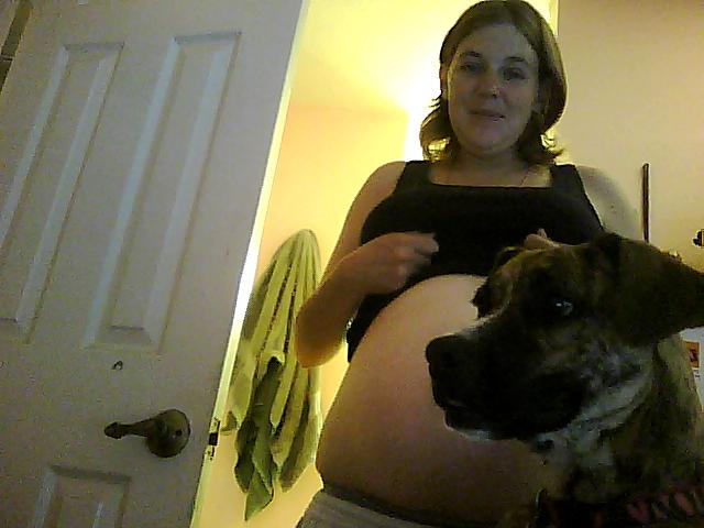While trying to get a baby belly shot our dog jumped up and photobombed us!
