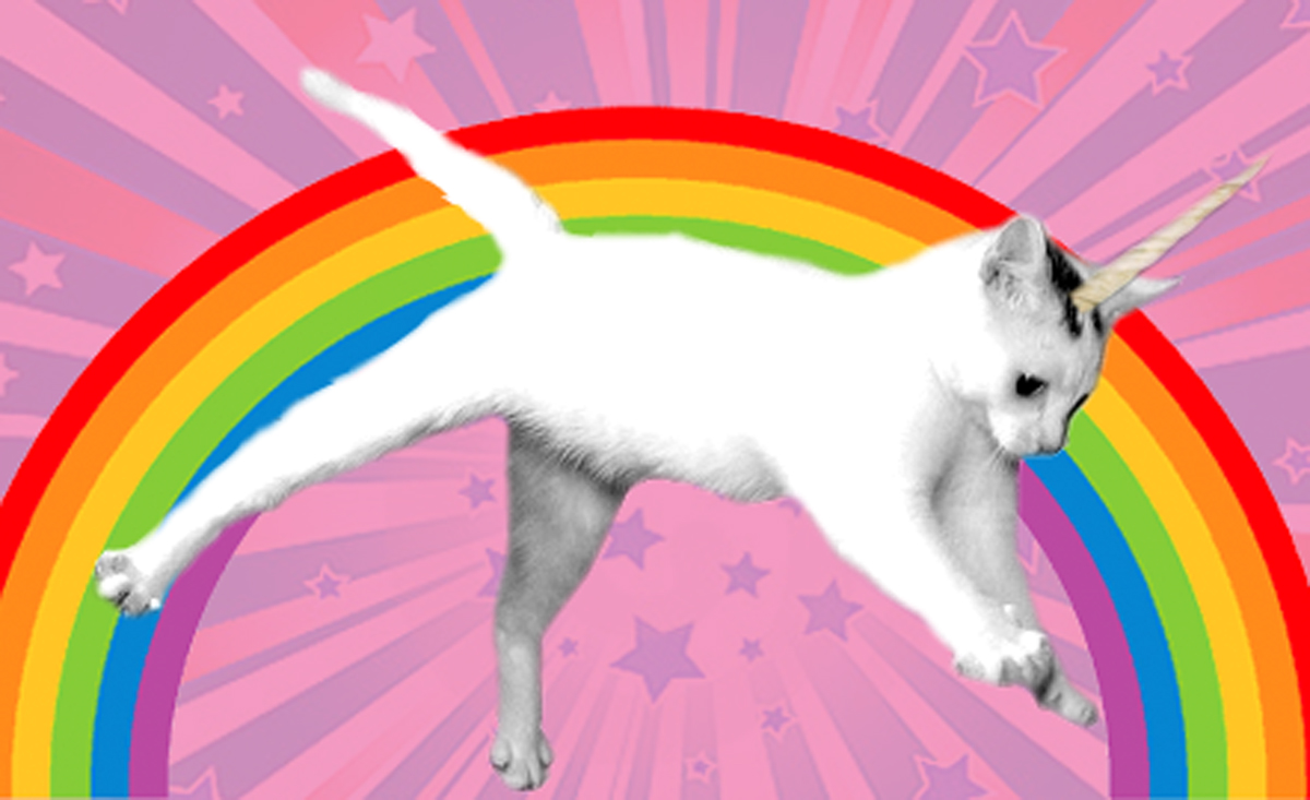 it's a kitten with a unicorn horn flying through a rainbow.
