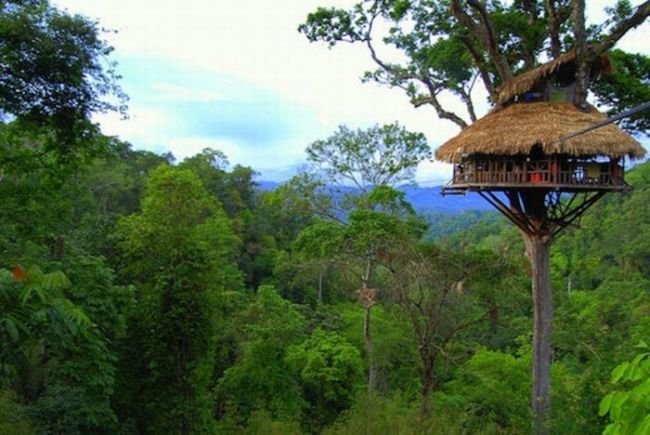 World's Most Amazing Tree Houses