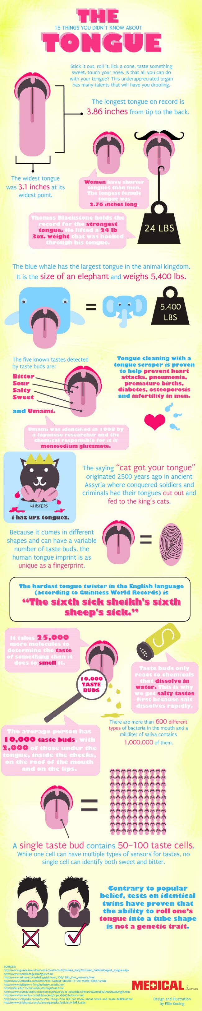 Good info on the tongue.