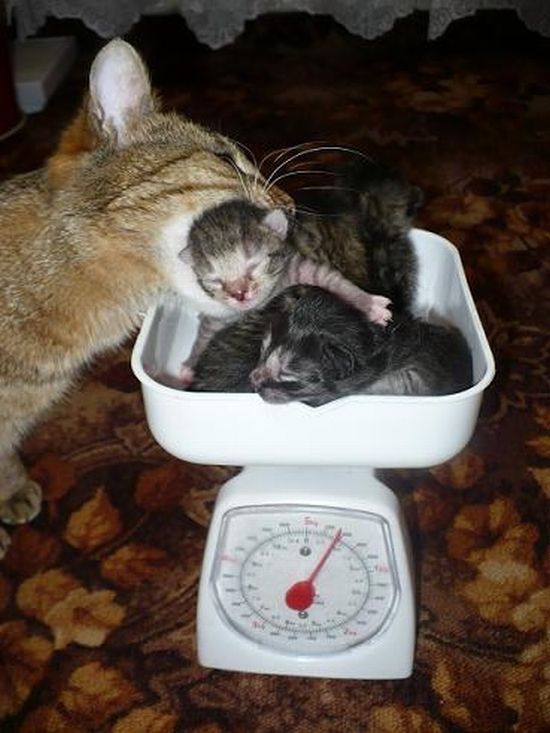 WSDMC Daily Selection