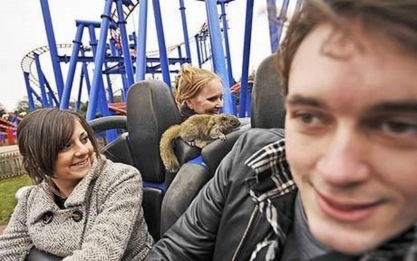 WSDMC Daily Selection