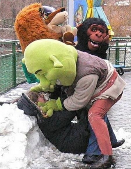 WSDMC Daily Selection