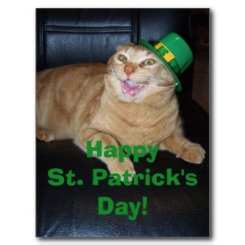 St. Patrick's Day Cats