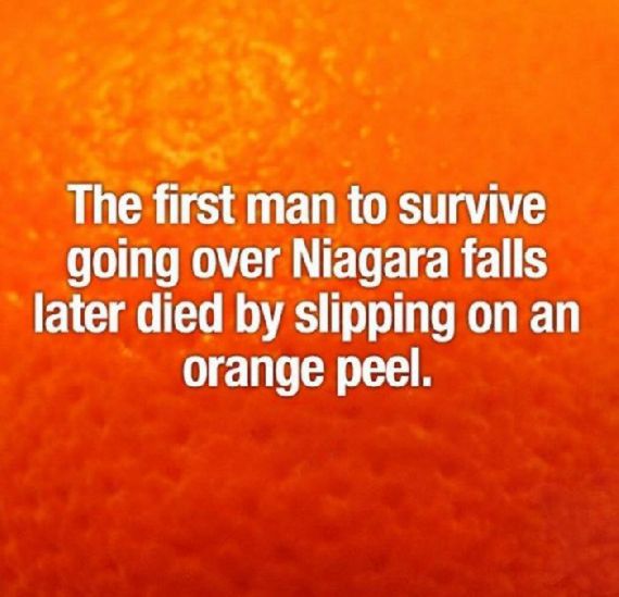 Random Facts of the Day