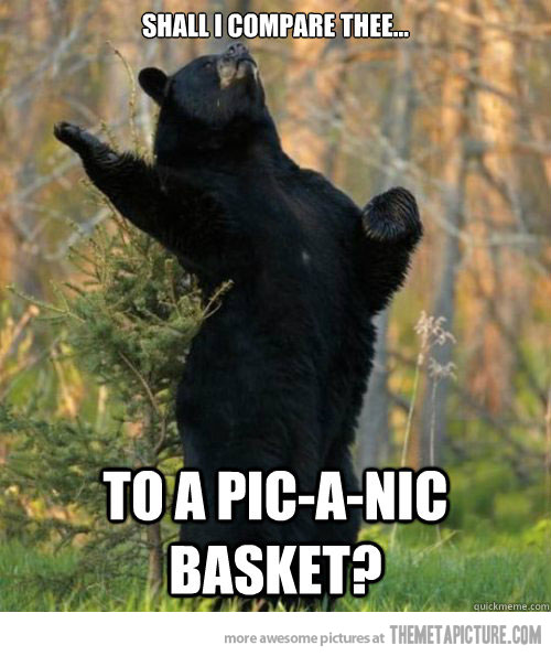 Bear Pictures Saturday