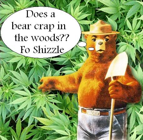 Now we know what a bear really does.