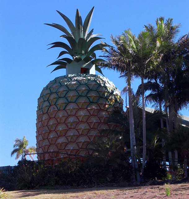 The Big Pineapple-Nambour, Queensland