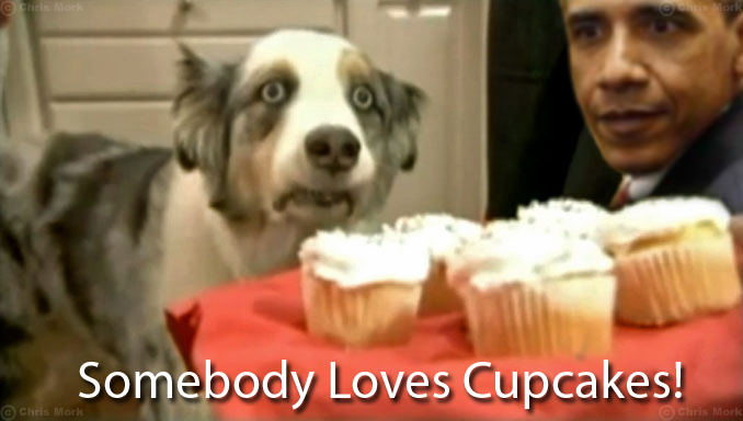 Somebody Loves Cupcakes