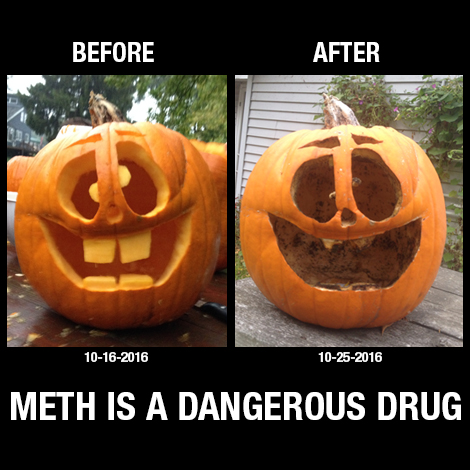 My pumpkin went and caught a meth habit.
