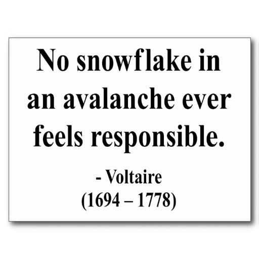 No snowflake in an avalanche ever feels responsible. Voltaire 1694 1778