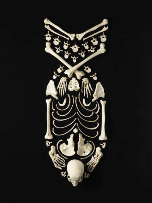 Art made from human bones