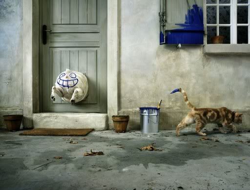 Picture dump I got from your mom