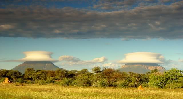 Picture dump I got from your mom