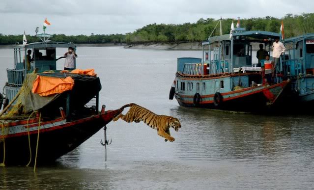 Picture dump I got from your mom